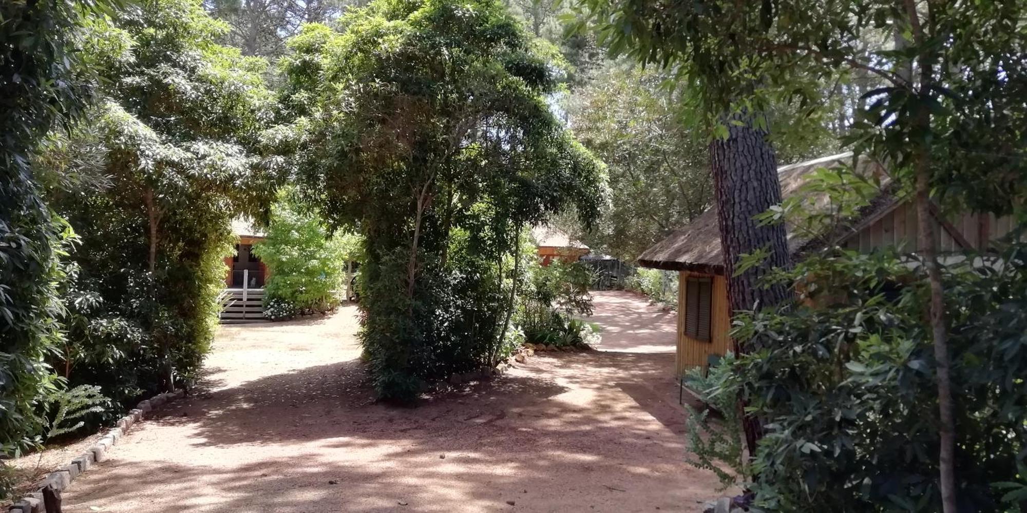 Las Chozas Punta del Este Exterior photo
