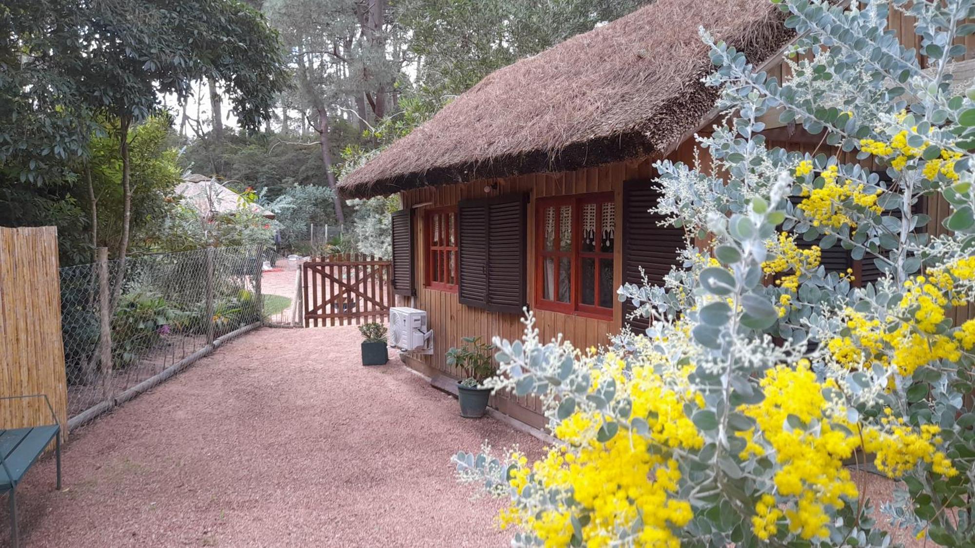 Las Chozas Punta del Este Exterior photo